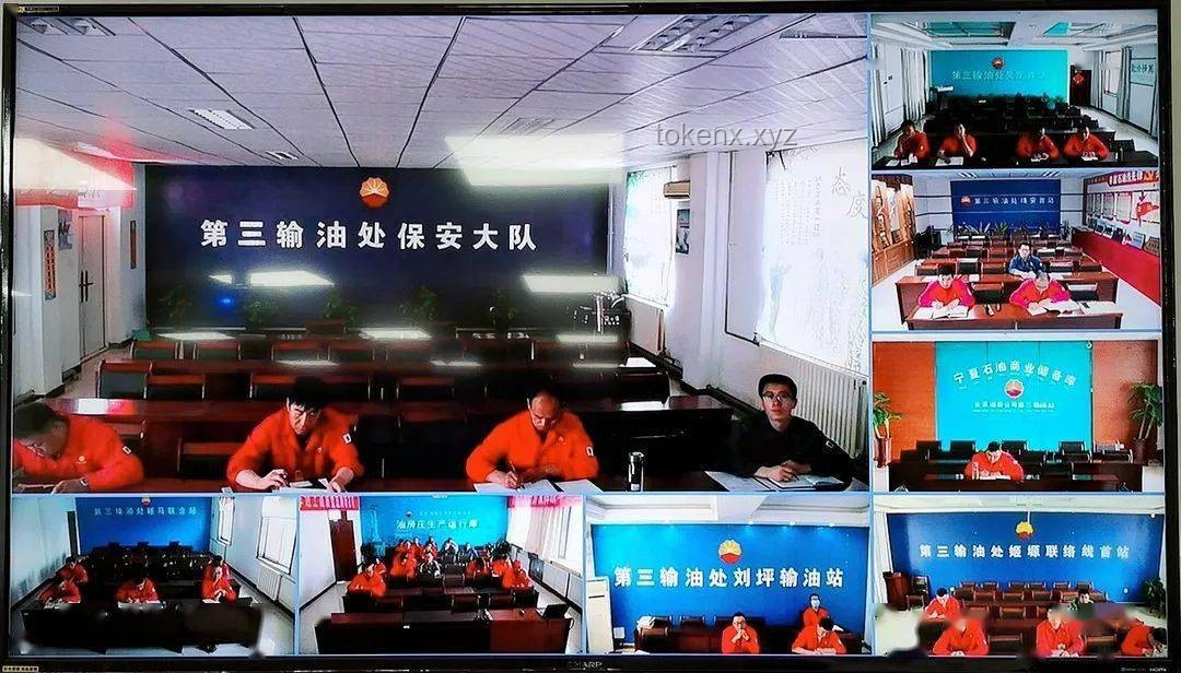 张家界养猪场排污整改实战指南：守护溶洞生态，规范排污流程